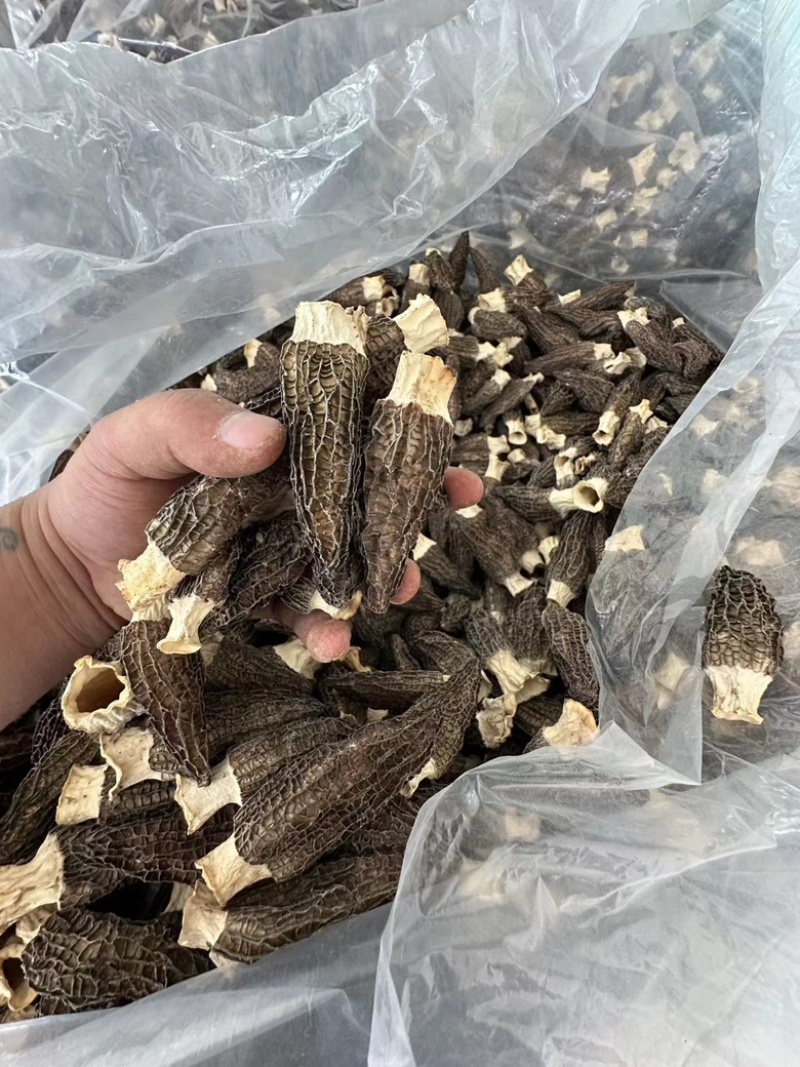 请说是在一亩田上看到的】评价详细信息羊肚菌供应分类点击查看更多