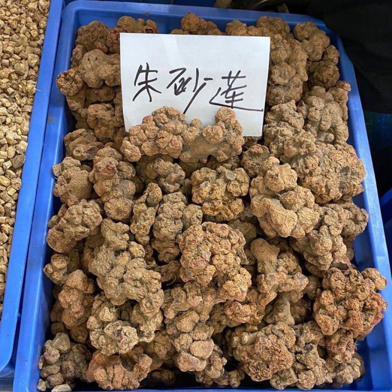 朱砂莲蛇莲朱砂连干货透水雷朱砂连牛血莲 产地直销量大从优