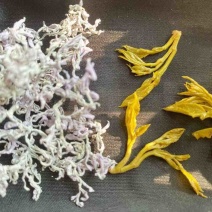 莓茶