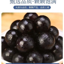 嘉宝果产地直供