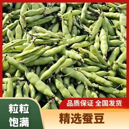 当前位置:>全国行情>长寿仁豌豆价格行情>大理长寿仁豌豆产地行情>420