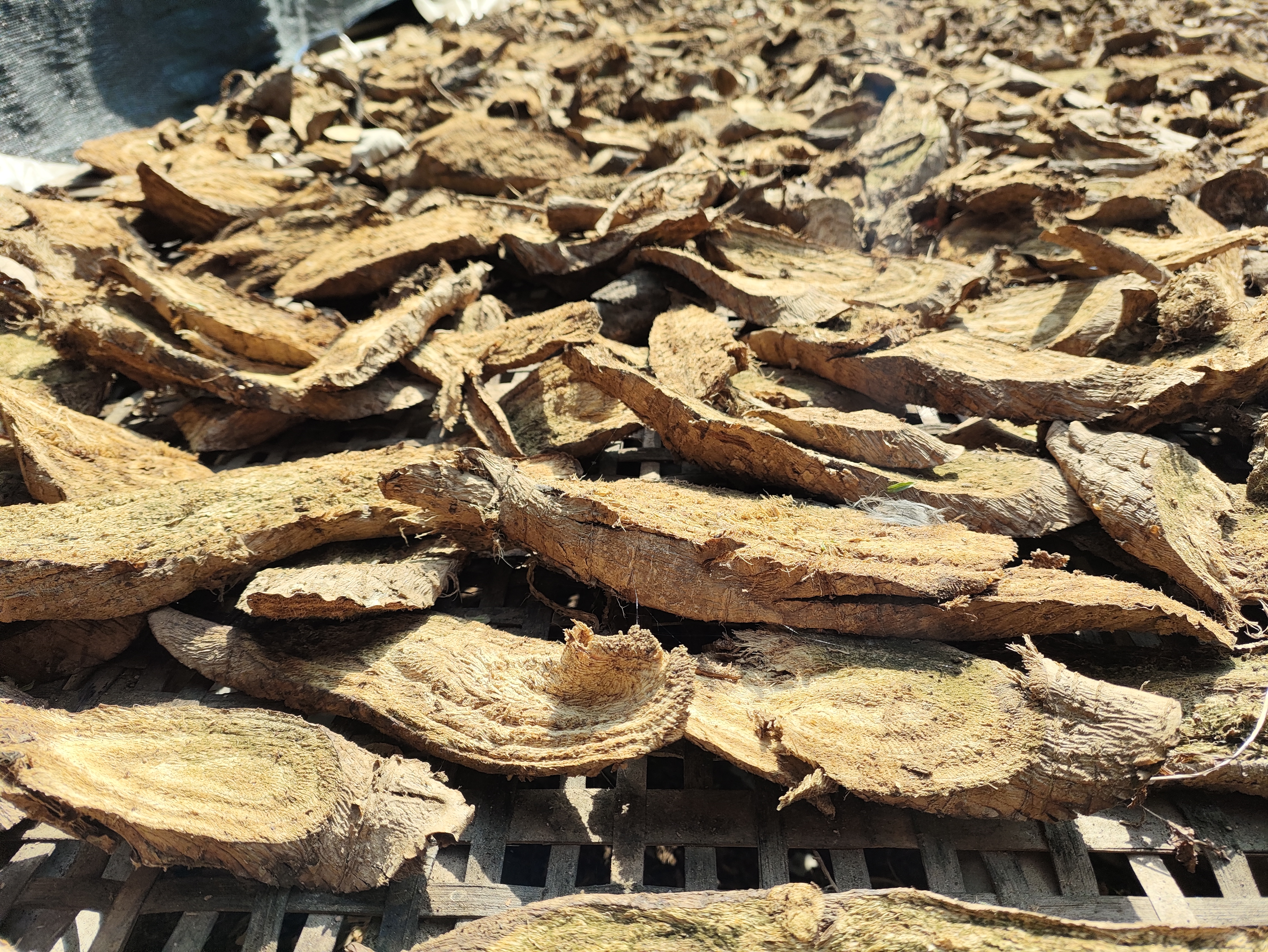 蒲公英与葛根原材料展示图