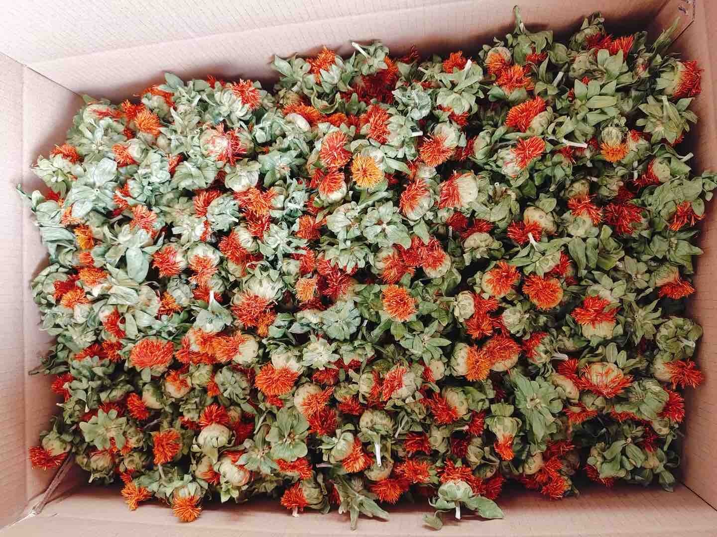 六品种新鲜花瓣营养成分热图:横轴为检测指标(总黄酮、槲皮素苷、挥发油、芳樟醇占比、粗纤维),纵轴为品种,颜色梯度由蓝(低)至红(高),清晰显示‘彩云’在多项指标上呈深红色峰值 丰花大花月季花瓣营养成分热图对比