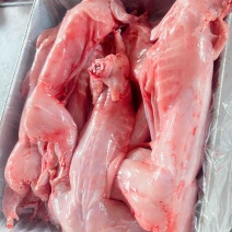 带头去头兔肉新鲜现杀整只诚信经营支持视频看货