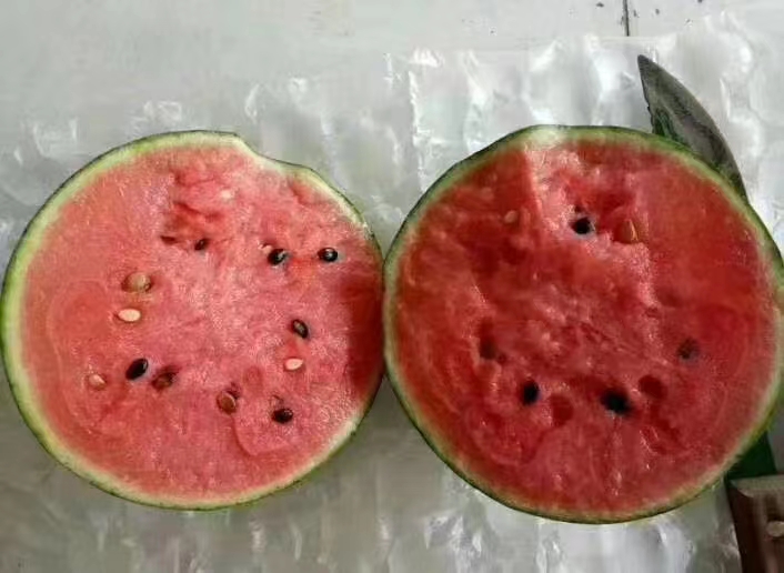 西瓜切面对比示意图
