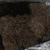新鲜采摘！合肥直供黄山毛峰，品质保证，快来选购！