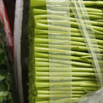 精品泡沫箱空心菜