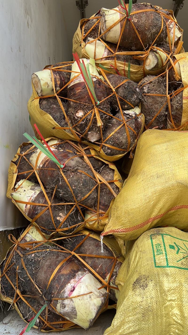 广东荔浦芋头,香芋,大量市场货源充足,一包起发