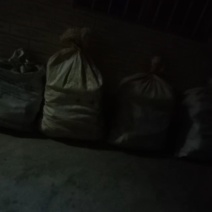 德庆县桂皮直供，新鲜上市！