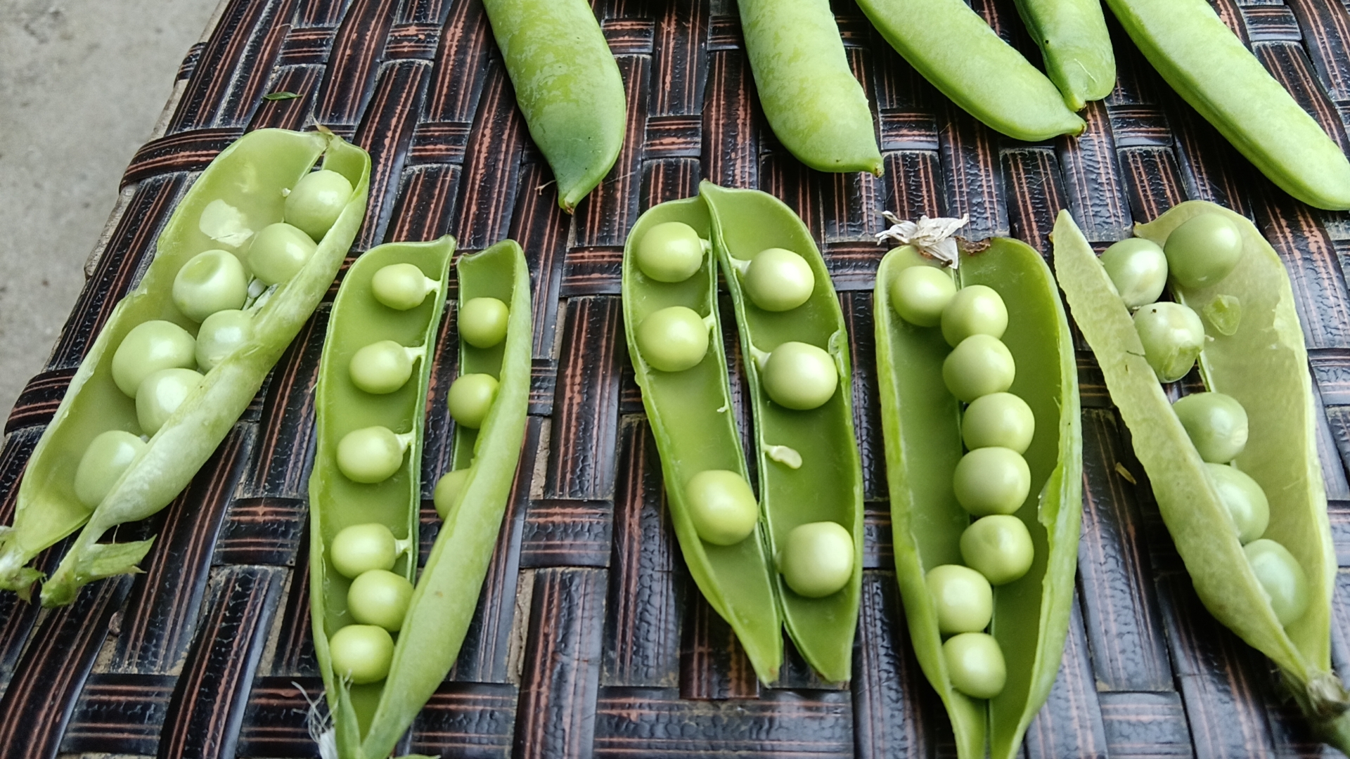 青豌豆特写:新鲜饱满的青豆子堆叠在竹编浅筐中,豆粒圆润饱满、表皮光滑泛蜡质光泽,部分豆荚半开露出三至五粒鲜绿籽粒,背景为湿润泥土与零星豌豆藤蔓,晨光柔和,呈现浓郁春日田园气息 青豌豆特写:新鲜饱满的青豆子堆叠在竹编浅筐中,豆粒圆润饱满、表皮光滑泛蜡质光泽,部分豆荚半开露出三至五粒鲜绿籽粒,背景为湿润泥土与零星豌豆藤蔓,晨光柔和,呈现浓郁春日田园气息