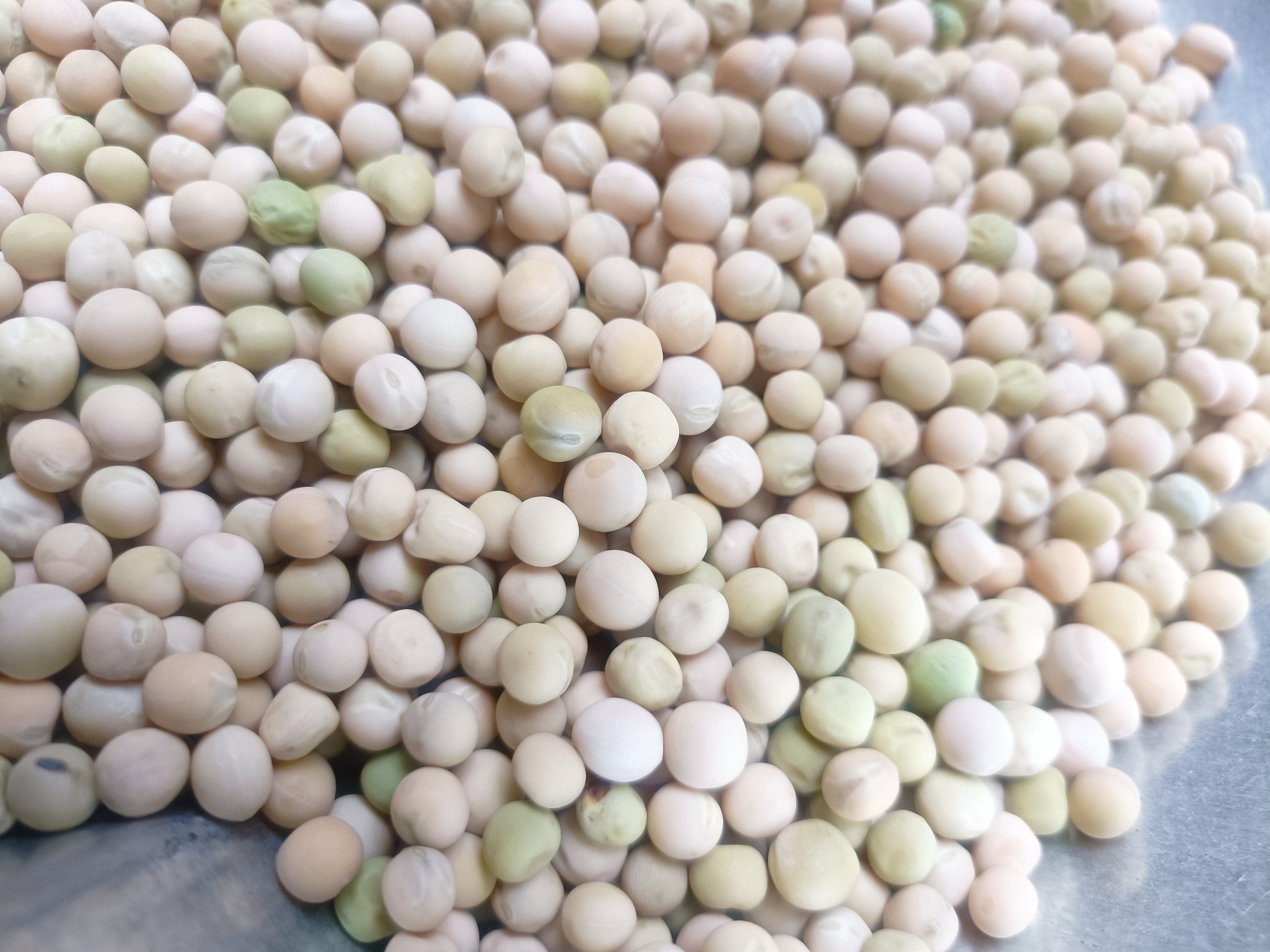 豌豆黄原材料——白豌豆