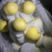 赵县雪花梨，市场货电商货规格齐全诚信经营