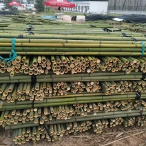竹杆果树支撑杆菜架竹，豆角架大棚竹竿竹子，竹片，