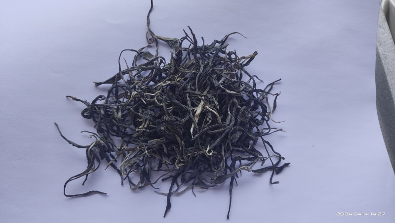 高黎贡山云雾茶生普洱有机生态茶自家茶园