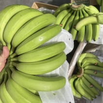 菲律宾进口香蕉精品香蕉，可视频看货，欢迎合作