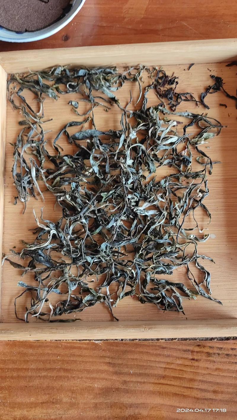 古树普洱茶多少钱一斤图片