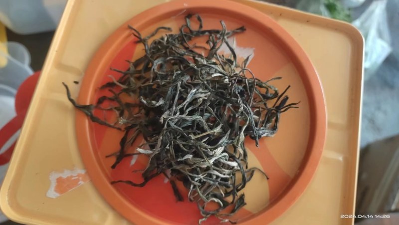 高黎贡山云雾茶生普洱有机生态茶自家茶园