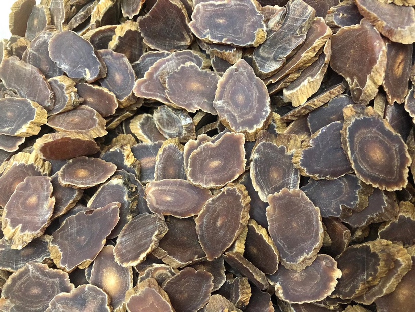 优质花旗参切片特写