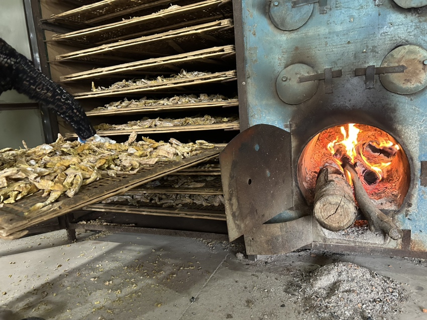 干竹笋泡发过程图