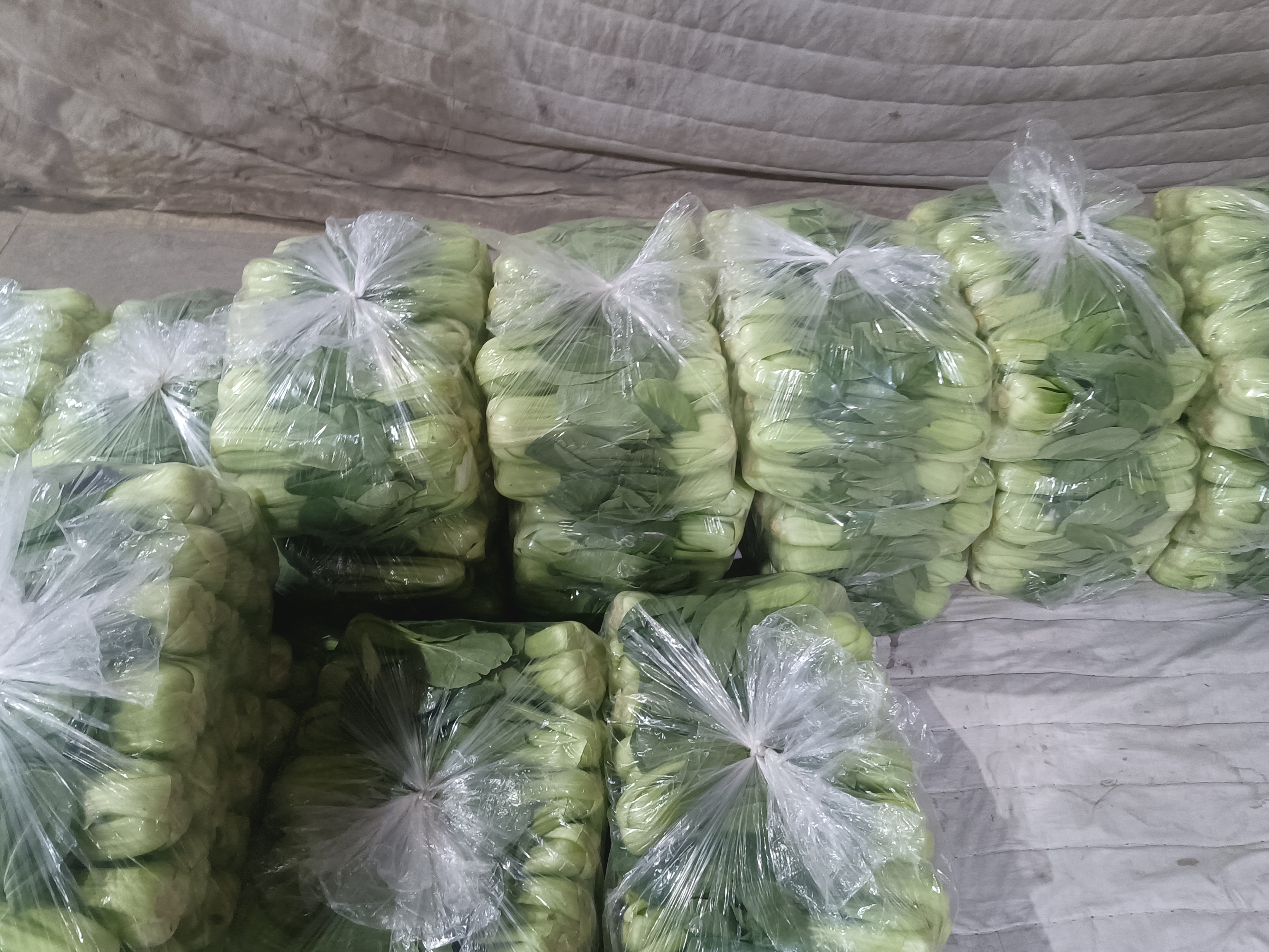 展示油荬菜在超市中的陈列情况,体现其商品化程度 油荬菜在超市货架上的陈列展示