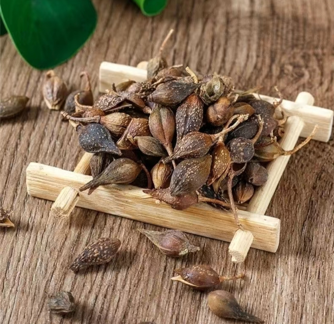 山西省安泽县连翘交易中心内,多个摊位陈列着不同等级的青翘干品,商户正在称重打包,墙上电子屏显示当日参考价格:统货90元/公斤,质检报告张贴于柜台前 山西青翘交易市场现场