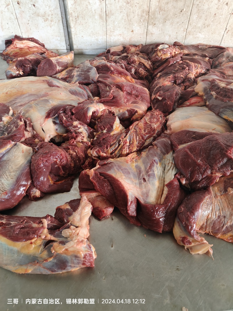 内蒙古牛肉