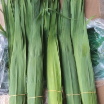 集江南特优精品苇叶于太行农贸市场，海量供应各地销售商！！