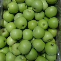 【青苹果】山西青皮秦冠果电商果工厂果加工果全国供货