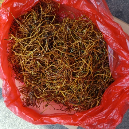 六盘水一支箭价格行情走势 - 一亩田