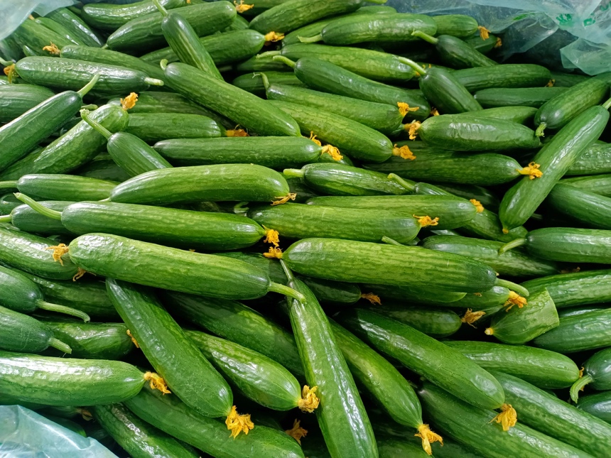 专业美食摄影:呈现符合GB 2763-2021农药残留限量标准的生食级搭配——西红柿选用未检出氯氟氰菊酯(<0.01mg/kg)、黄瓜选用氧乐果未检出(<0.005mg/kg)的合规批次,强调食品安全底线 生吃西红柿和黄瓜有什么好处:俯拍视角展示玻璃碗中切片的粉红西红柿与碧绿黄瓜条交错铺陈,撒少量黑胡椒与初榨橄榄油,无盐无酱,突出食材本味与天然色泽对比