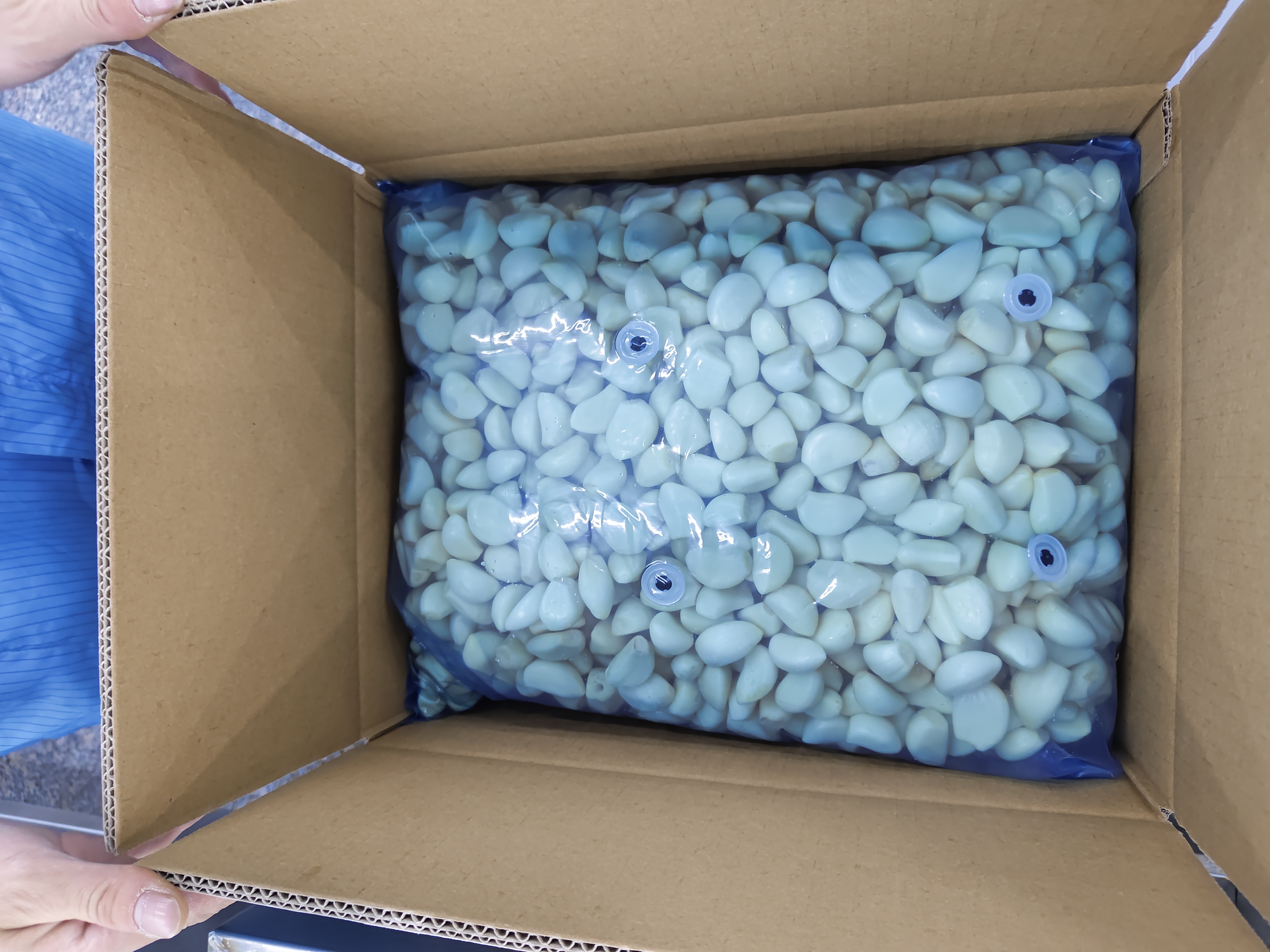 金乡蒜片成品包装与物流发货现场