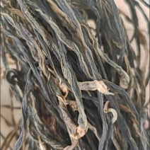 干豆角500克250克已装成小包。大货供应切段整条