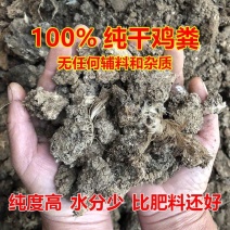 南阳纯鸡粪发酵有机肥料种菜家用营养土纯度高水分少