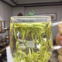 2024年安吉白茶包邮一斤