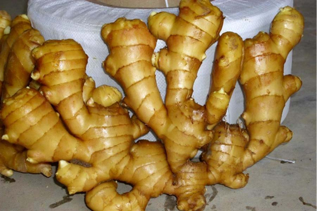 一碗清淡健康的姜汤面特写