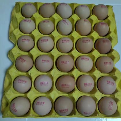 产蛋批发】土鸡蛋/净重30