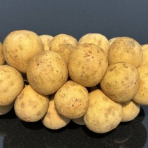 龙宫果大量上市，口感纯甜细腻软糯，出货周期长，一件代发
