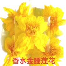 香水金睡莲花茶睡莲花荷花茶叶干花养生茶