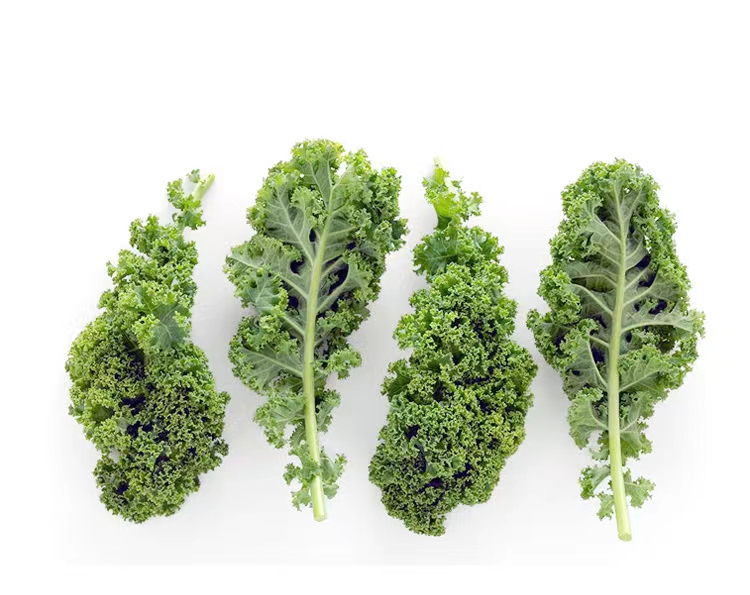 羽衣甘蓝在厨房中的摆放