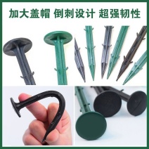 塑料地钉拉枝大棚温室遮阳网果园艺地膜固定倒刺黑色除防草布