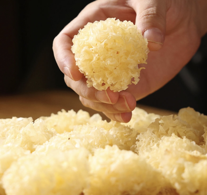 新鲜银耳与干银耳对比图