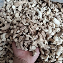 精品双剪香菇脚（香菇腿）产地直发，双剪率百分之九十五以