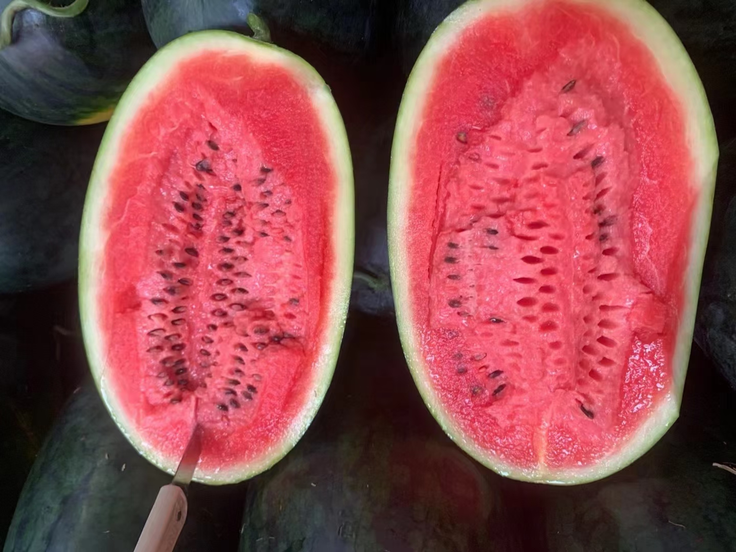 黑美人西瓜切开特写