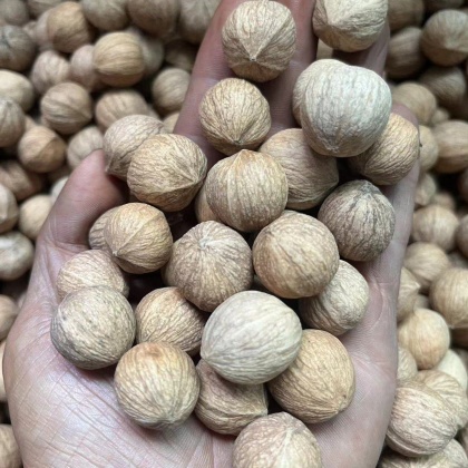 山核桃价格行情