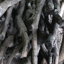 卖丽荔龙眼木炭