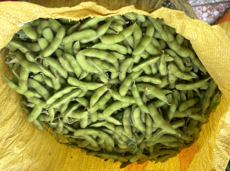 展示绿宝石一号毛豆的多种产品形态,如速冻毛豆、即食调味毛豆、毛豆罐头等 毛豆产品展示