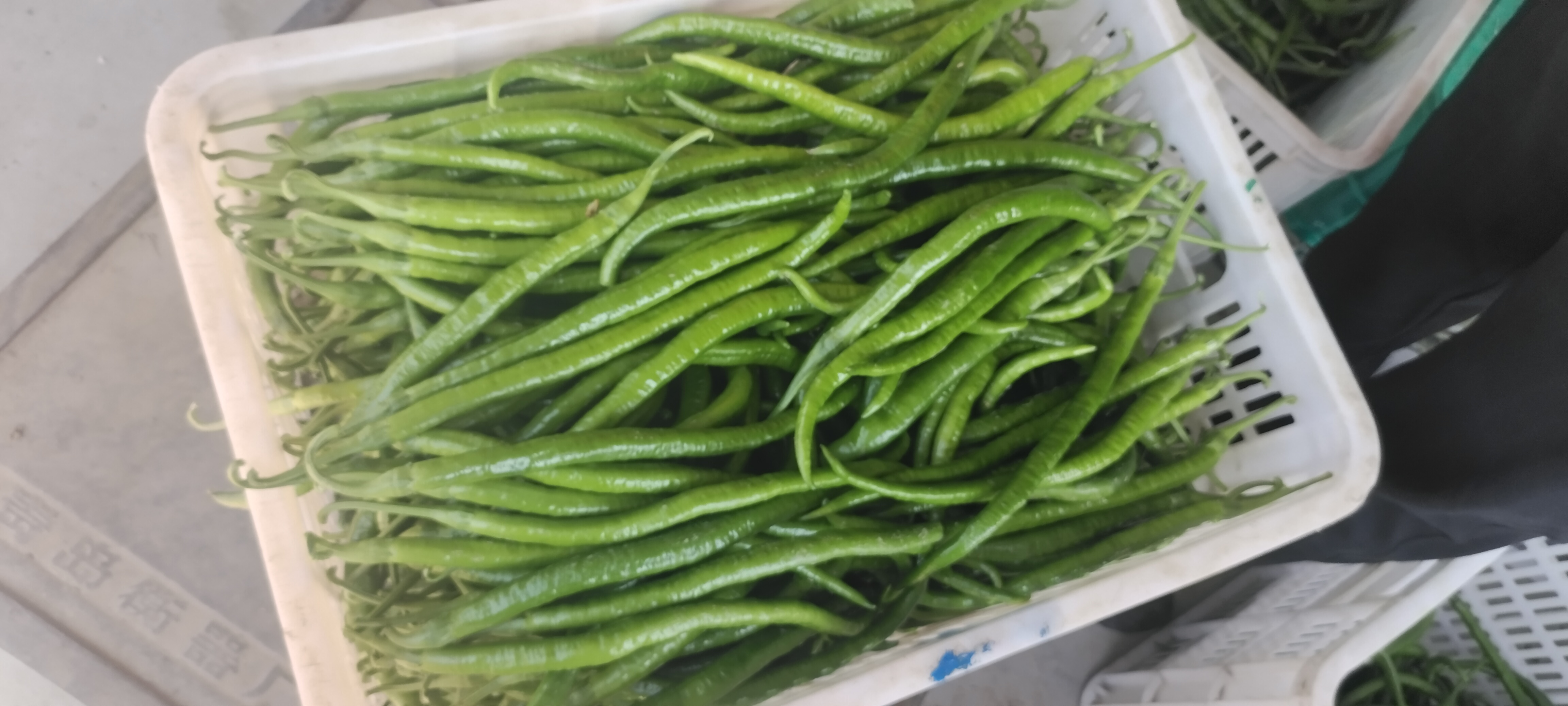 线椒在厨房中的应用图