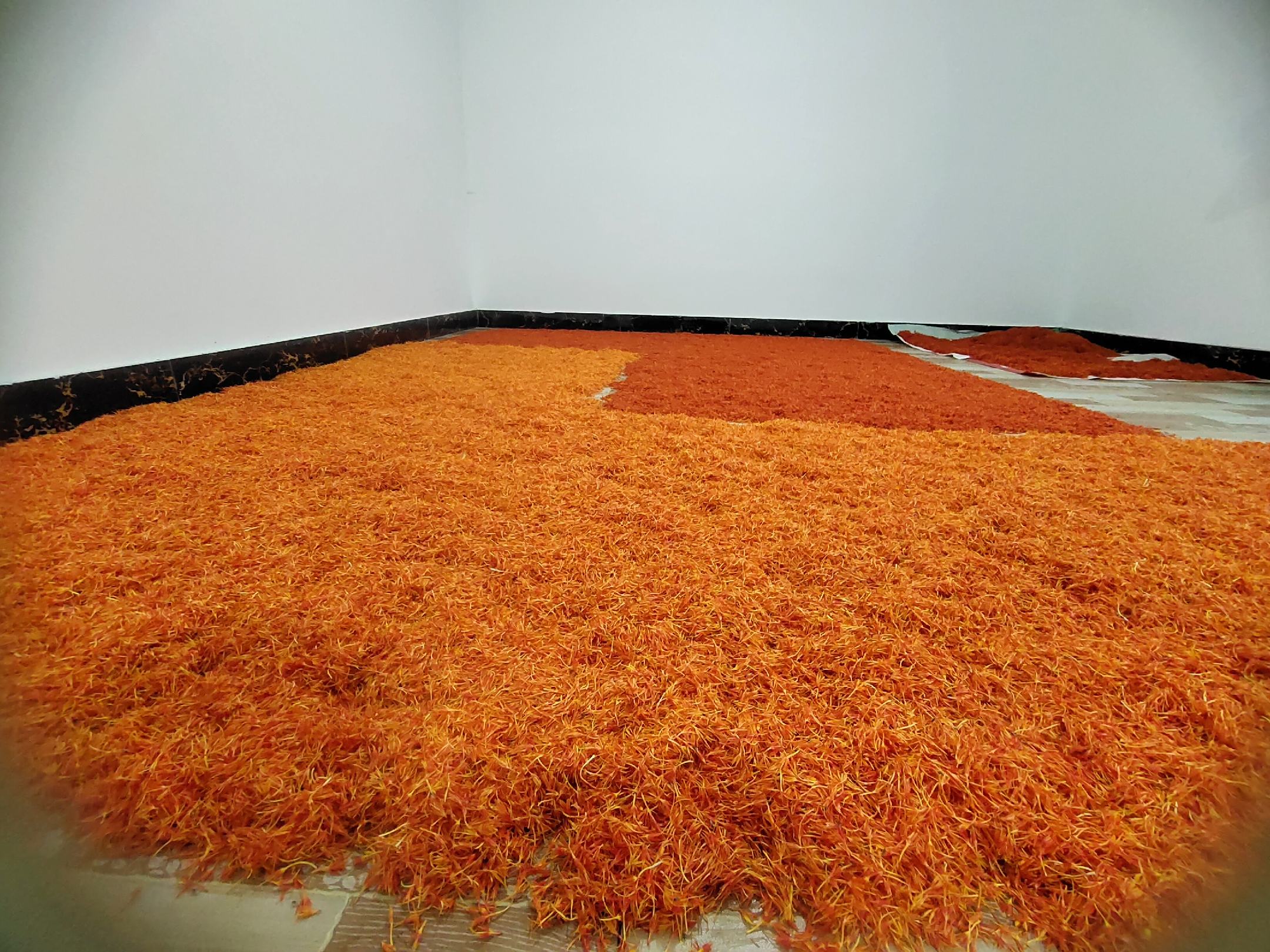 丹桂花干燥与储存展示图