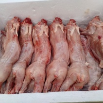 兔肉批发