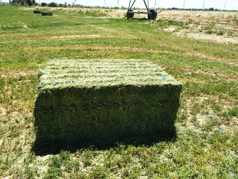 安法戈与除草剂混合配比图示